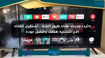 «تردد جديد» لقناة طيور الجنة.. استقبل القناة الآن لتسلية طفلك بأفضل جودة